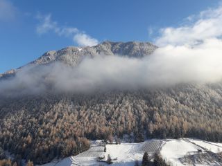 Alpenrose Martell, 39020 Martelltal, Urlaub in Martell, Südtirol, Italien